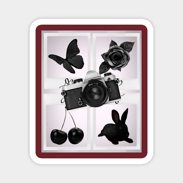 Animals, flowers, fruits and black objects Magnet by Zido ICT