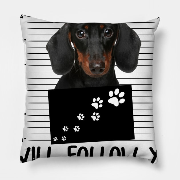 Personal Stalker Funny Dachshund Pillow by Terryeare