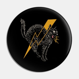 ELECTRIC CAT Pin