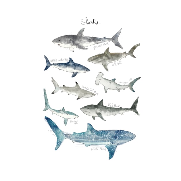 Sharks by Amy Hamilton