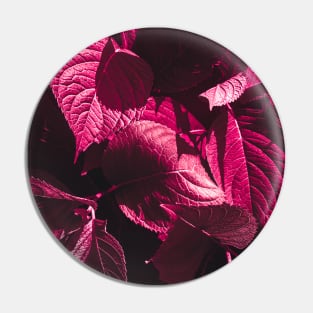 Dark Pink Leaves Pin