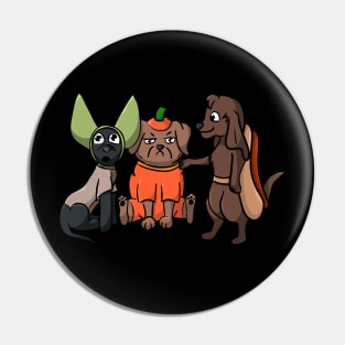Dogs in Halloween Costumes Pin
