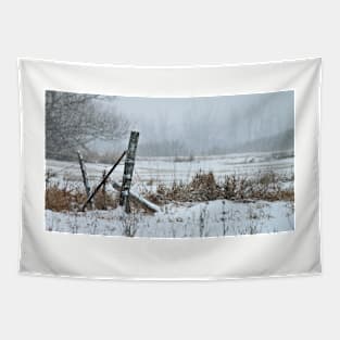 Fencepost in Winter Tapestry