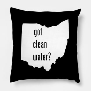 Ohio - Got Clean Water? Pillow