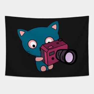 Cute kitty photographer Tapestry