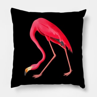 Pink Flamingo Illustration John James Audubon 1827 Pillow