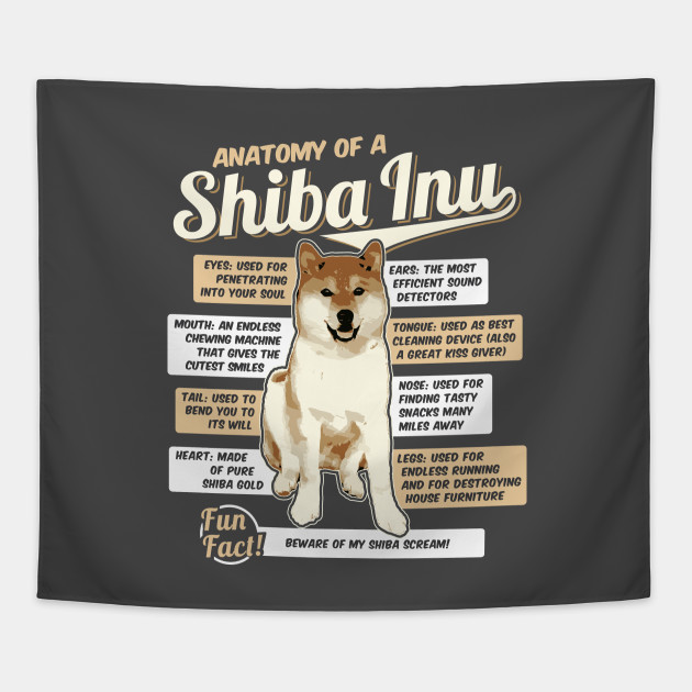 Anatomy Of A Shiba Inu