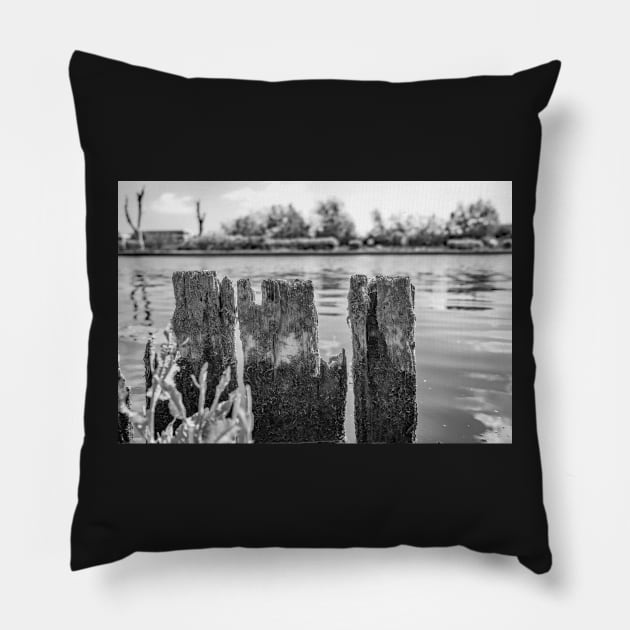 Wooden mooring posts, River Bure, Horning Pillow by yackers1