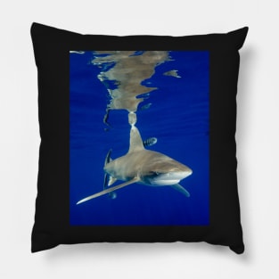 Oceanic White Tip Shark and Surface Reflections Pillow