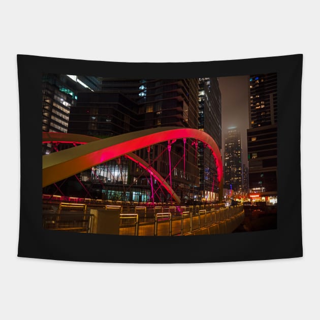 Lighted Bridge Austin TX Texas Tapestry by WayneOxfordPh