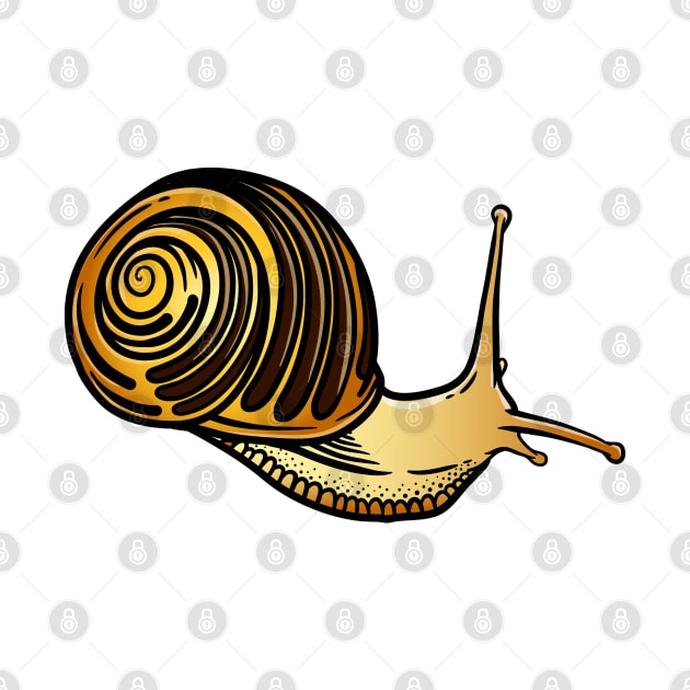 Snail by Sticker Steve