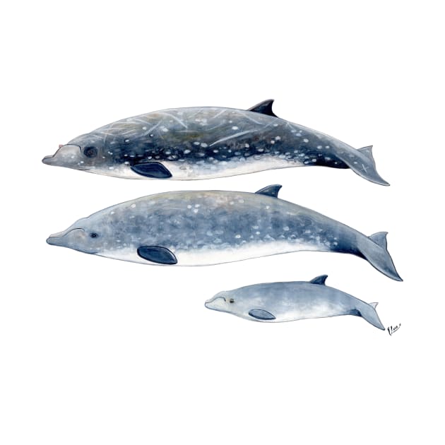Blainville´s beaked whales by chloeyzoard