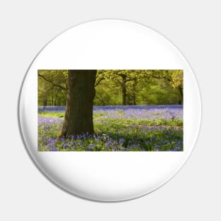 Bluebell Wood Pin