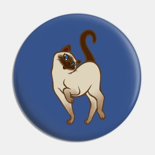 Begging for Pettings--Siamese Two Style! Pin