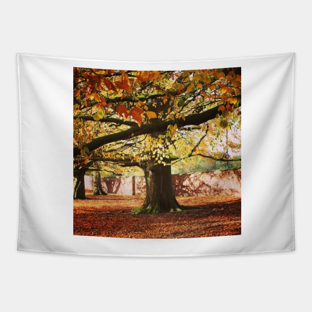 Autumn tree Tapestry by Jonesyinc