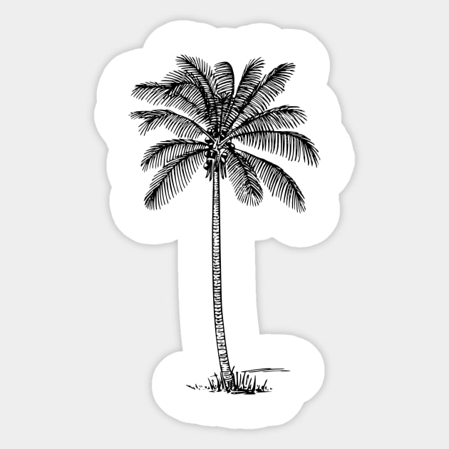 Minimalist Black Palm Tree - Funny Palm Tree - Sticker