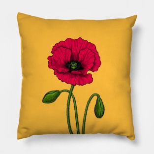 Red poppy drawing Pillow