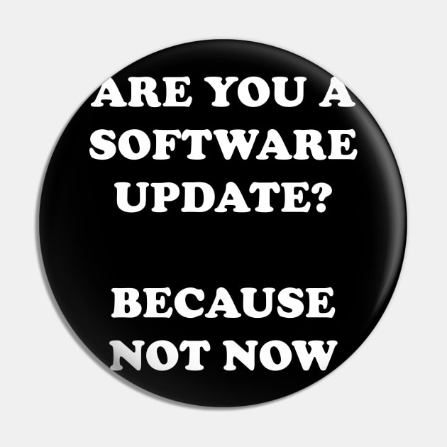 Are You A Software Update Because Not Now Pin by dumbshirts