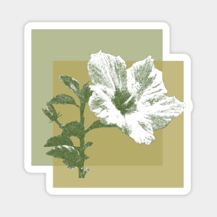 white hibiscus on yellow frame Magnet