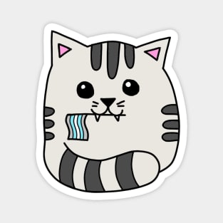 demiboy pride flag cat Magnet