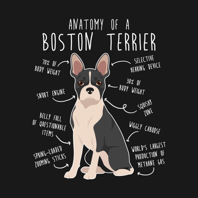 Boston Terrier Dog Anatomy by Psitta