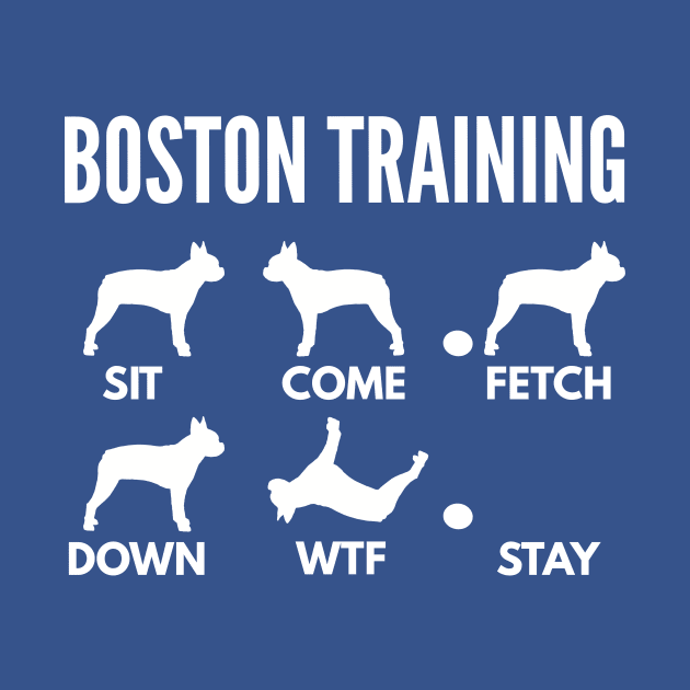 Boston Training Boston Terrier Tricks by DoggyStyles