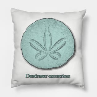 Mint Green Sand Dollar Seashell Design Pillow