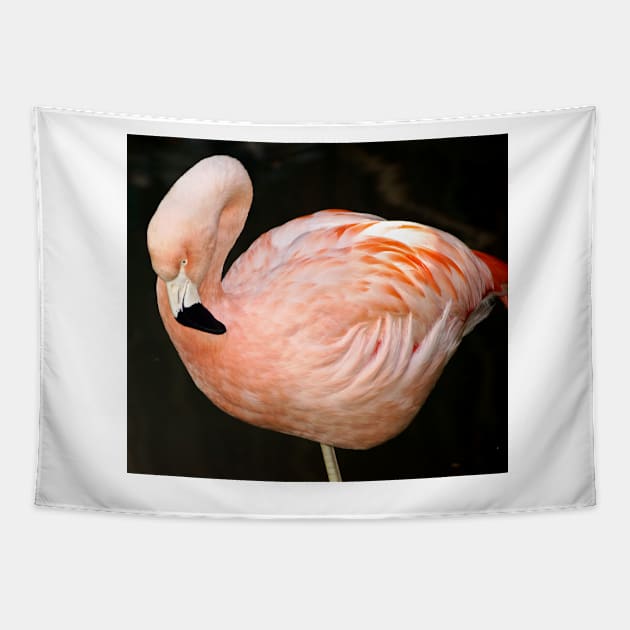 cli pink flamingo Tapestry by pcfyi
