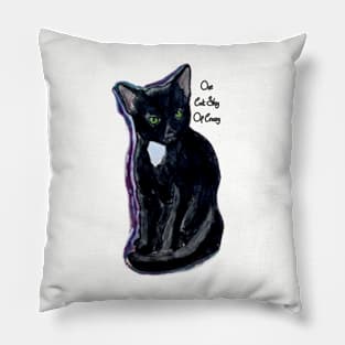 One Cat Shy Of Crazy Pillow