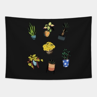 Collection of potted plants for indoor and outdoor use Tapestry