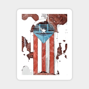 Puerto Rican Flag Door San Juan Puerto Rico Magnet