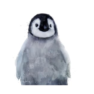 Little Penguin T-Shirt