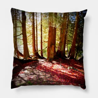 Forest Beams, Stourhead Landscape Gardens, UK Pillow