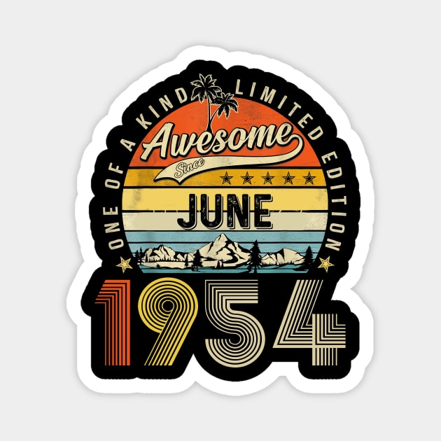 Awesome Since June 1954 Vintage 69th Birthday Magnet by Vintage White Rose Bouquets