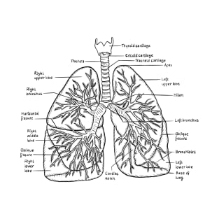 Lungs T-Shirt