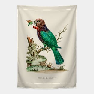 African Brown-Headed Parrot Antique Naturalist Illustration Tapestry