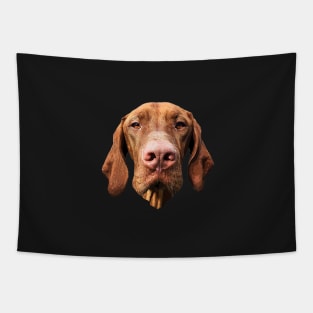 Vizsla Hungarian Vizsla Art Tapestry