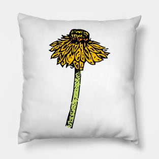 Everlasting Daisy Australian Wildflower Pillow