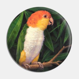 White Bellied Parrot Pin