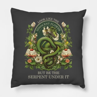 Shakespeare bookish literature poet Pillow