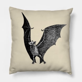 Bat Vintage Illustration Pillow