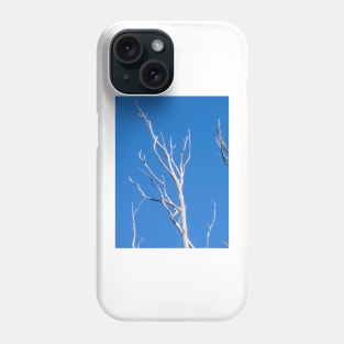 White tree limbs. Phone Case