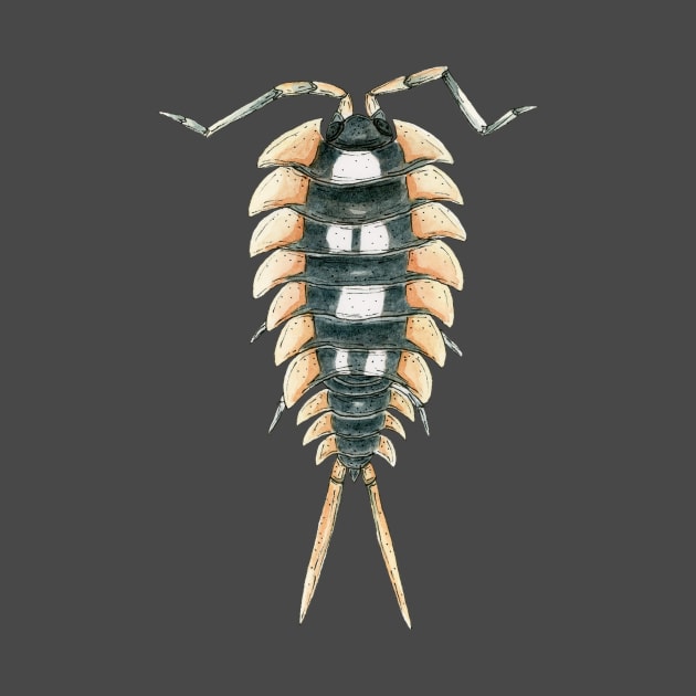 Porcellio expansus orange Isopod by paintedpansy