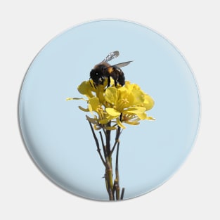 Honey bee on a wildflower Pin