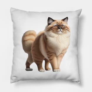 Himalayan cat Pillow