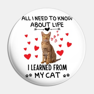 All I Need To Know About Life I Learned From My Cat Pin