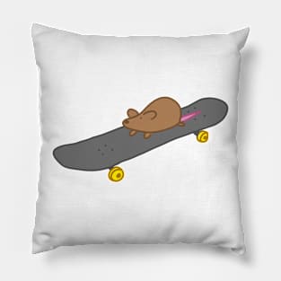 Skateboard Rat Pillow