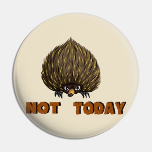 Echidna Pin