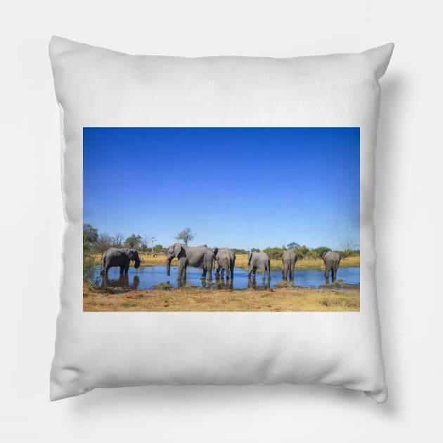 Elephants Wading in a Shallow River in Botswana Pillow by SafariByMarisa