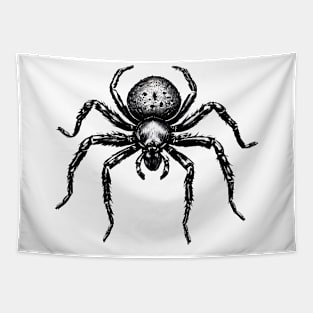 Arachnid Artistry: Spider Sketch on White Tapestry